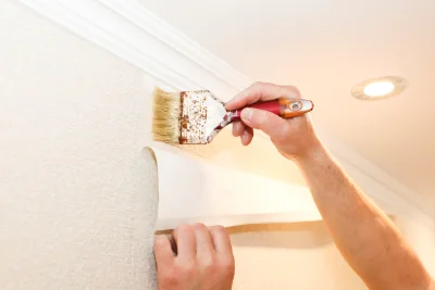 Pose de papier peint à Lalouvesc — revêtements muraux et toiles de verre
